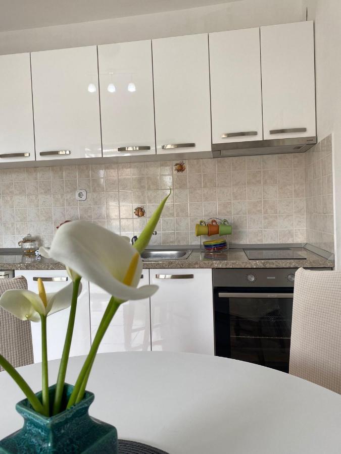 Studio Apartment Novak Čilipi Buitenkant foto